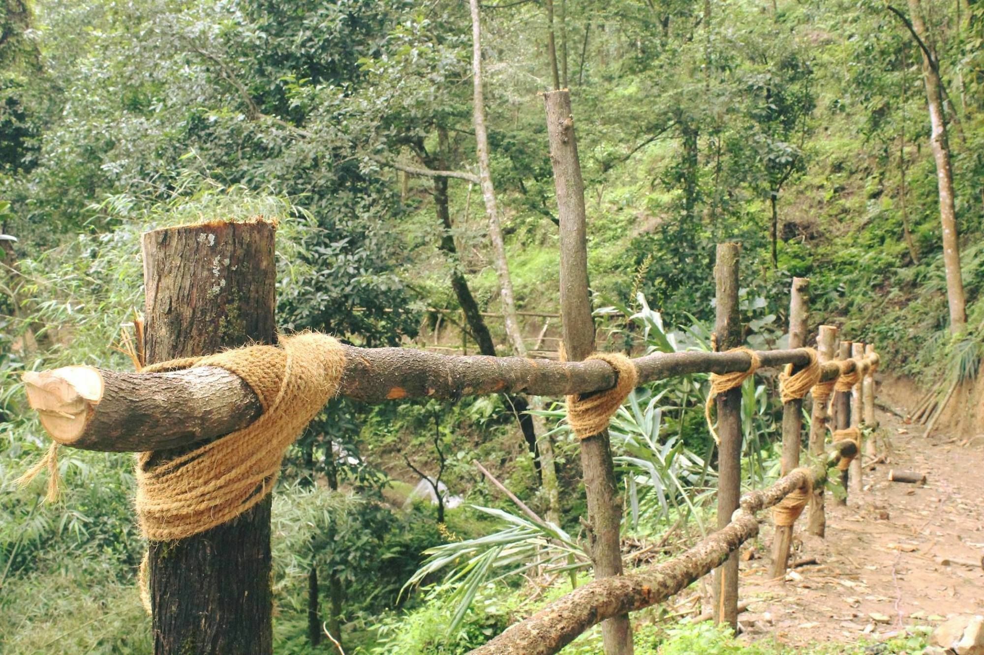Bunjungle Adventures Hotell Kathmandu Exteriör bild